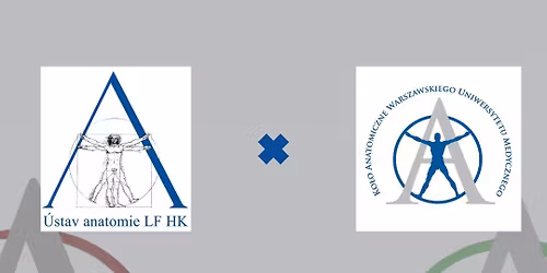 O nauczaniu anatomii w Hradcu Kr\u00e1lov\u00e9 - wyk\u0142ad go\u015bcinny
