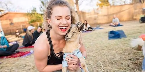 Goat Yoga @ Martin House Brewing!