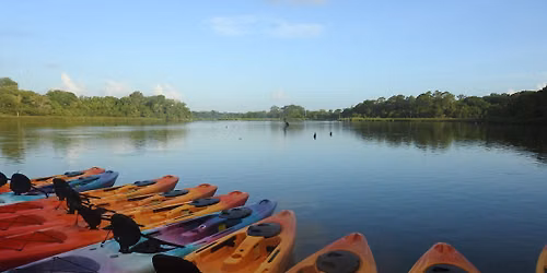 Early Bird Guided Kayak Tours