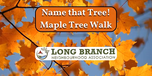 Maple Trees Walking Tour