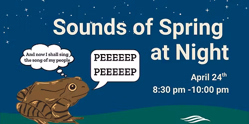 The Sounds of Spring at Night