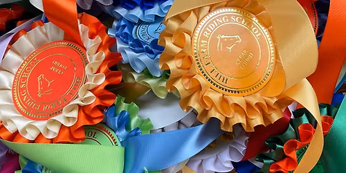 Showjumping competition
