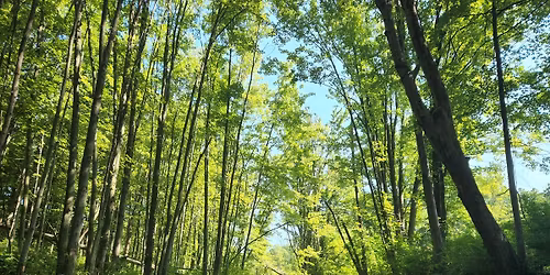 Morning Marsh Paddle