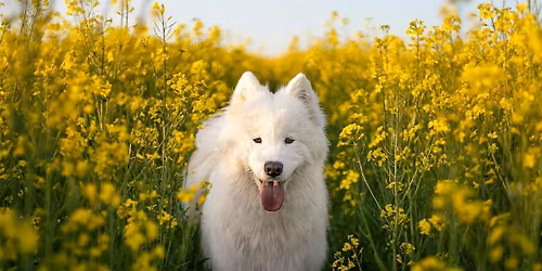 Saturday Group Class