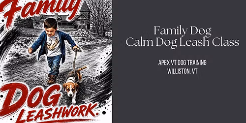 Family Dog - Calm Dog Leash Class 