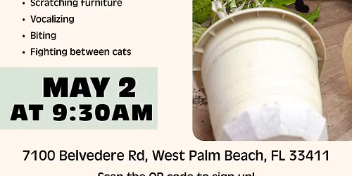 Cat Crimes: Feline Behavior Class