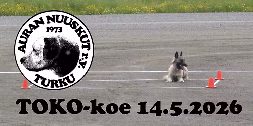 TOKO-koe 14.5.2026