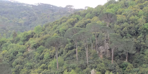 Machmouche Qattine Hike