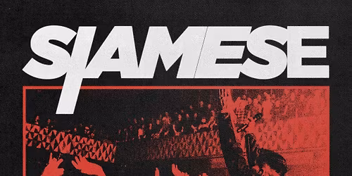 Siamese