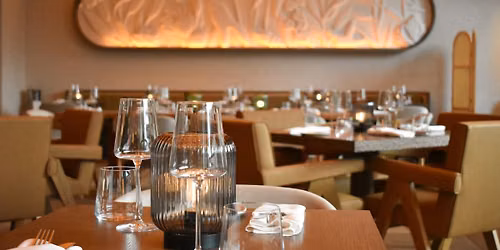 Industry Nights at Terra
