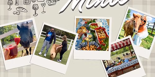 Brunch with the Miniature Horses