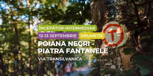 Drume\u021bie \u00eencep\u0103tor-intermediar: Via Transilvanica \u00eentre Poiana Negri \u0219i Piatra F\u00e2ntanele (T\u0103\u0219uleasa