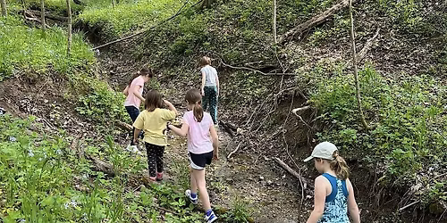 Explore and Play at Pecar Park & Nature Center