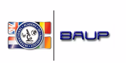 BDIAP\/BAUP Symposium on Urological Pathology