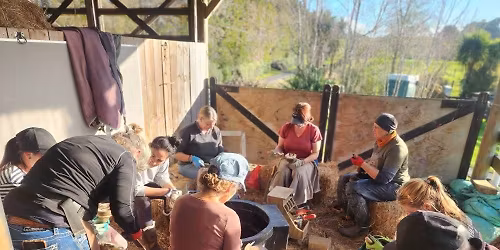 Barefoot Basics - Hoof trimming for horse owners