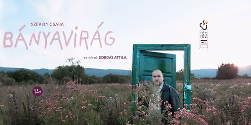 B\u00e1nyavir\u00e1g | Flori de min\u0103