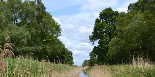 Ecology of the Fens with Laurie Friday