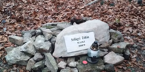 Dobog\u00f3ra fel! M\u00e1jki eml\u00e9kt\u00fara