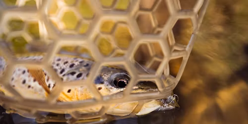 2026 Driftless Symposium