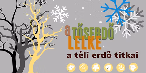 A t\u00e9li erd\u0151 titkai