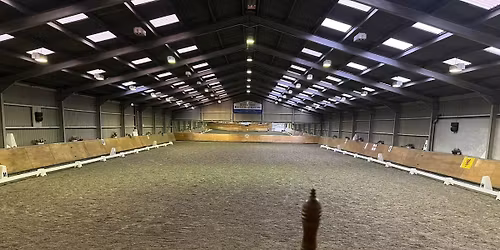 Flatwork training with Becci Hadley at Stretcholt, Jan 20th