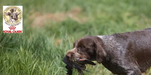 Apportpr\u00f8ve Buhol 