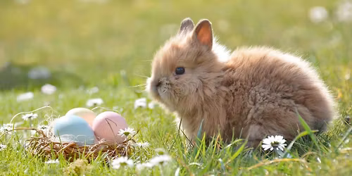 Pictures with the Easter bunny!!!