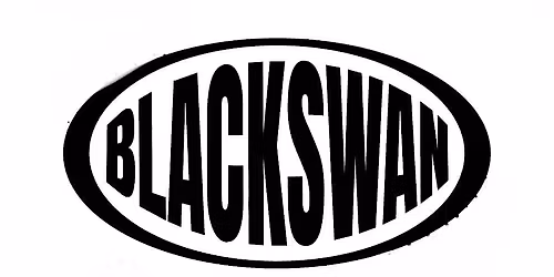 Bayou Classic Annual Black Swan Ball