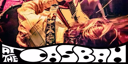 The Schizophonics, Mistress 77, Toof Fairy, Hingada