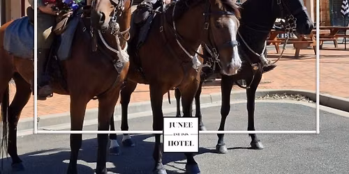 ANZAC Day at the Junee Hotel