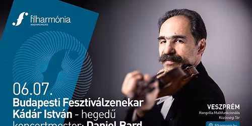 Budapesti Fesztiv\u00e1lzenekar