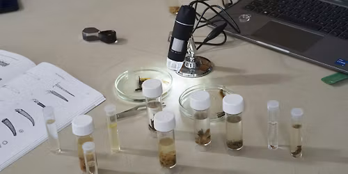 Riverfly Monitor Training