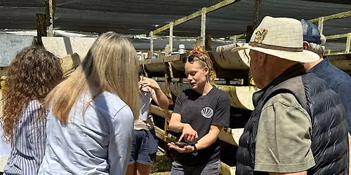 Walking Tour at The Cultured Abalone Farm