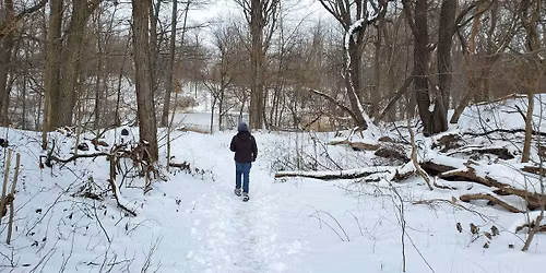 Inwood Hill Park Winter ID Walk
