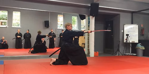 Chi Ryu Iaido Fall Seminar