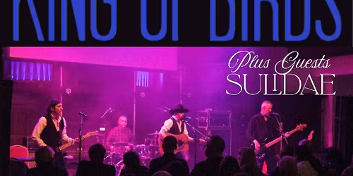 King of Birds plus guests Sulidae