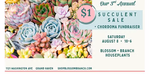 $1 Succulent Sale!