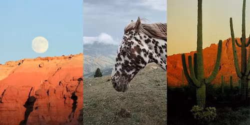 Wild West | MEMBERS ONLY