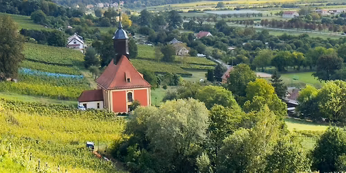 Pillnitz Wine Hike: Dresden - Day Trip from Berlin