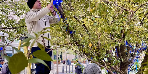 Spruce Up the Square - Holiday Lighting Installation
