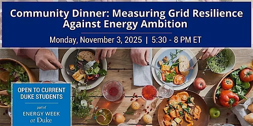 Community Dinner: Measuring Grid Resilience Against Energy Ambition