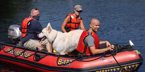 Connecticut Canine Search and Rescue Demonstrations