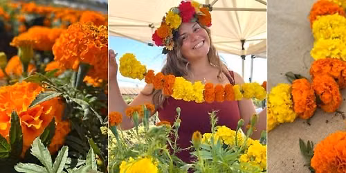 Marigold Flower Crown & Garland Workshop @ Mellano Farm Stand, Oceanside, CA. 92057