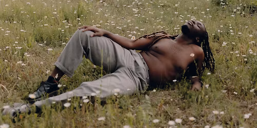 Visite de l\u2019exposition \u00ab Peas in a Pod \u00bb avec Margaux Bricout