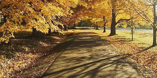 Members' Holiday Celebration