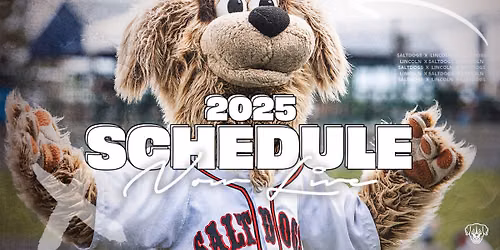 Lincoln Saltdogs vs. Chicago Dogs