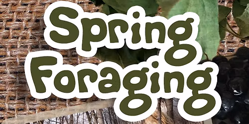 WILD FORAGING WALKABOUT & FOLKLORE