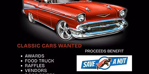 Classic Cars Needed for Car Show Charity Event!
