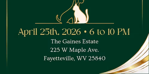 A Night to Remember: Our Furball Legacy