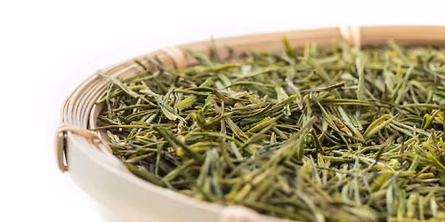 Intro to Tea